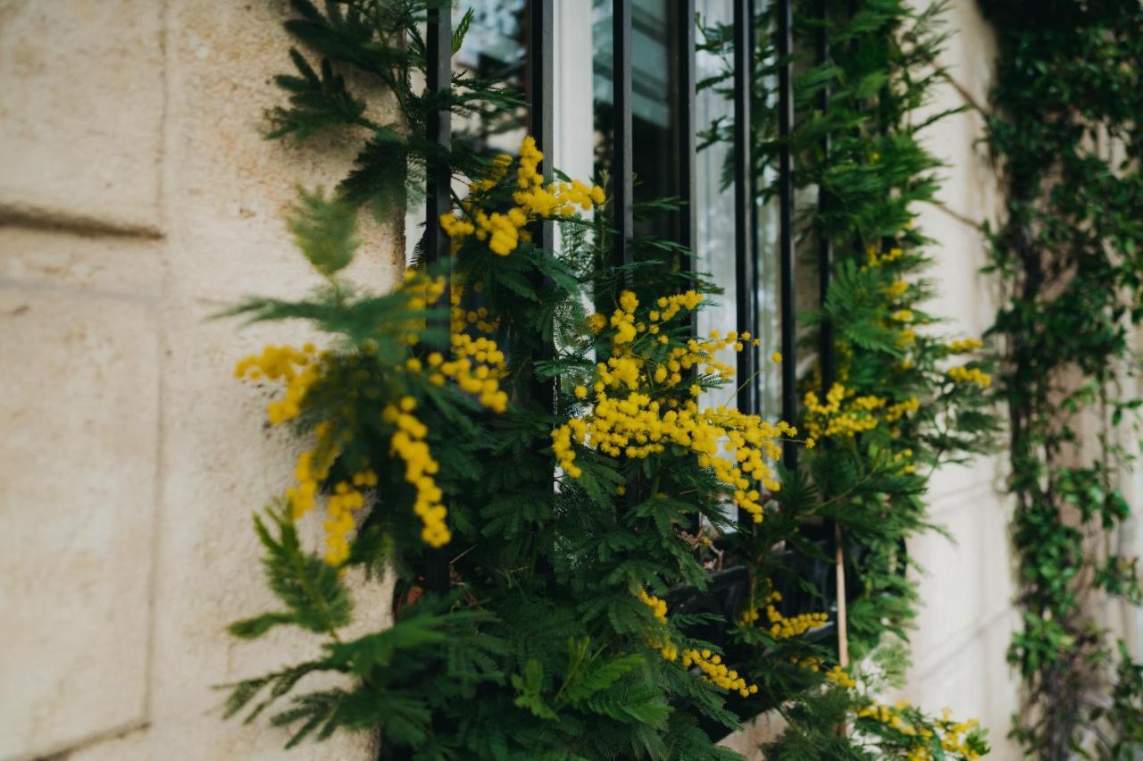 La Belle Endormie B&B French Guest House Bordeaux Exterior foto